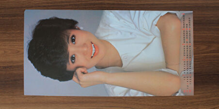 Seiko Matsuda – Index 33'lük LP PLAK