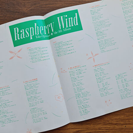 Yoko Oginome – Raspberry Wind