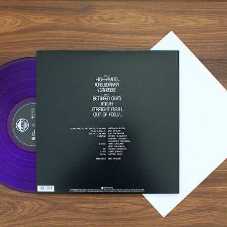 Hiromasa Suzuki - High-Flying