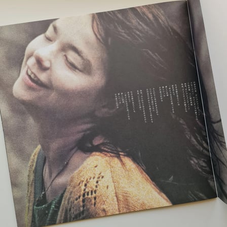 Bjork Dancer In The Dark Kitap