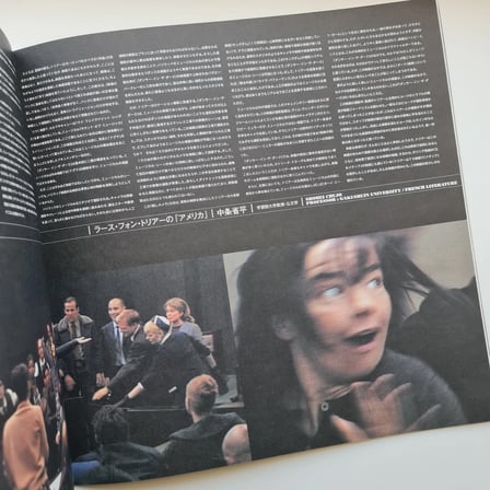 Bjork Dancer In The Dark Kitap
