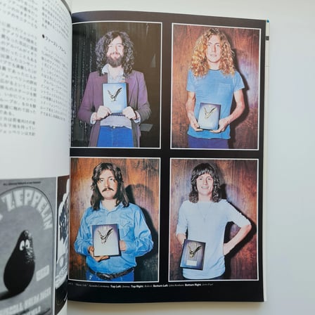 Led Zeppelin In The Light Kitap