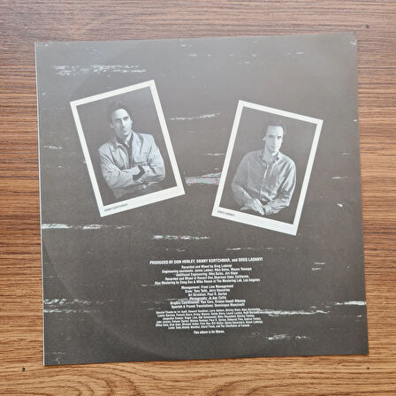 Don Henley – I Can't Stand Still