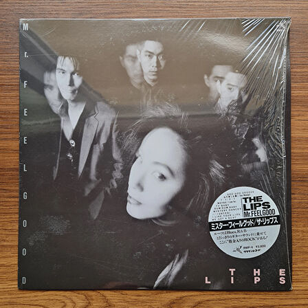 The Lips – Mr. Feelgood