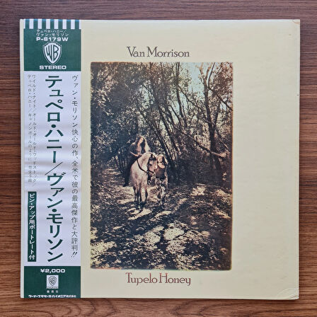 Van Morrison – Tupelo Honey