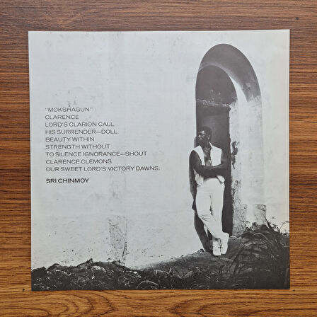 Clarence Clemons – Hero