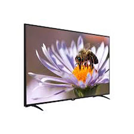 Next NextYE-42020G6 42" 106 Ekran Full HD Led Ekran