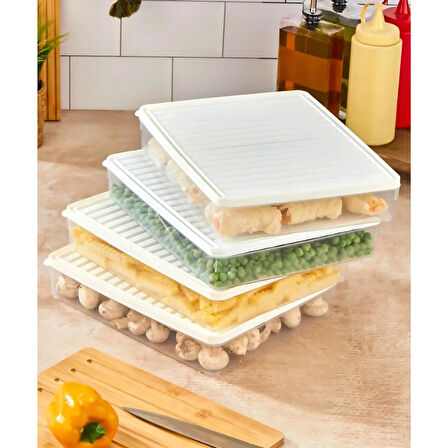 bigmate BGMT2525 4'lü Şeffaf Saklama Kabı 4x2,5 Lt Mikrodalga Buzdolabı ve Dondurucu Uyumlu Düzenleyici