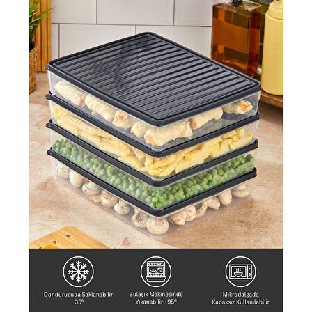 bigmate BGMT2525 4'lü Şeffaf Saklama Kabı 4x2,5 Lt Mikrodalga Buzdolabı ve Dondurucu Uyumlu Düzenleyici