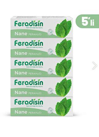 Feradisin Nane Özlü Diş Macunu 75 Ml 5 Li Set