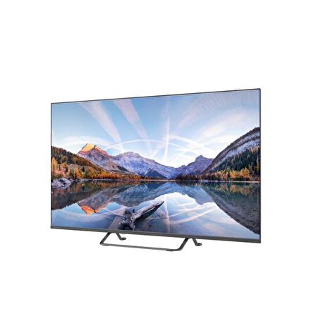 PROFİLO 55PA515ESG ANDROID SMART GRİ LED TV