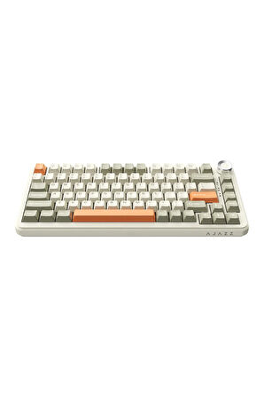 AK820 MAX PLUS-Hot-Swap-Dinamik RGB Mekanik Oyun Klavyesi 8000mAh Batarya Flying Fish Switch-RETRO