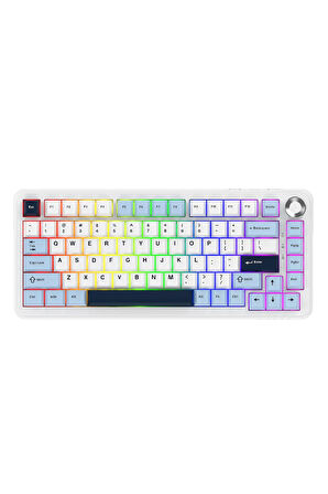 AK820 MAX PLUS - Hot-Swap-Dinamik RGB Mekanik Oyun Klavyesi Day Dream Switch - Lacivert Beyaz