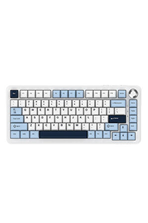 AK820 MAX PLUS - Hot-Swap-Dinamik RGB Mekanik Oyun Klavyesi Day Dream Switch - Lacivert Beyaz