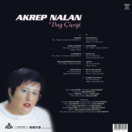Akrep Nalan Dağ Çiçeği - Plak