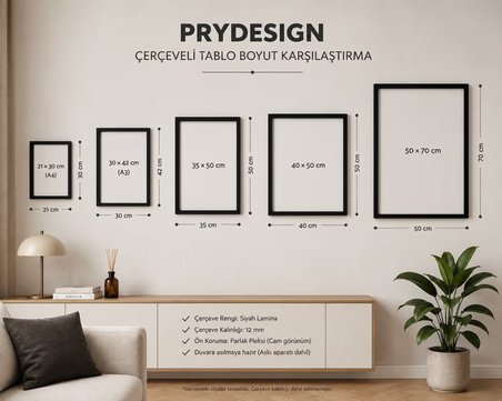 Plak Hikayeleri Kolleksiyonu Melodi Avcısı