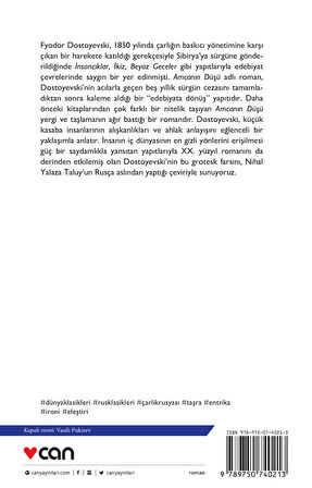 Amcanın Düşü