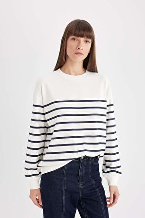 DeFacto Relax Fit Bisiklet Yaka Çizgili İnce Sweatshirt A9255AX24WNER105