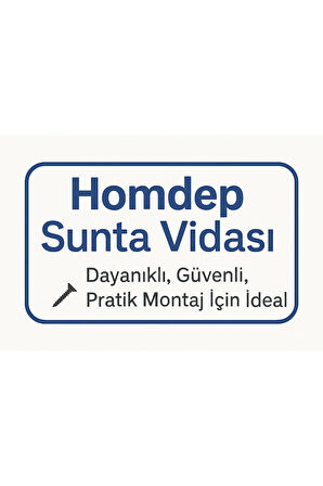 Sunta Vidası 4x30Mm Ahşap Vida Raf Vidası Ahşap Tahta Mobilya Vidası Kısa Vida 100 Adet