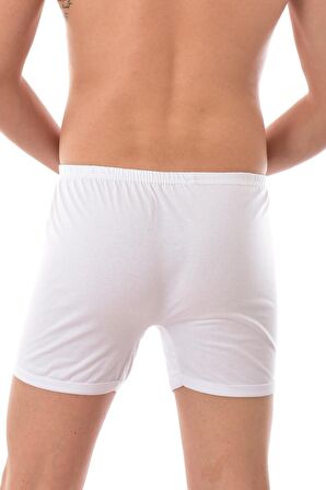 Erkek Arjantin Boxer  3 Adet 0006