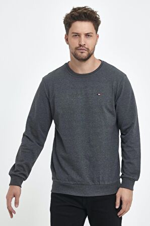 Erkek Antrasit Bisiklet Yaka Nakış Detaylı  Regular Fit Sweatshirt