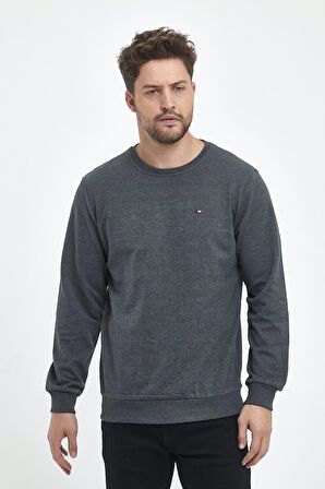 Erkek Antrasit Bisiklet Yaka Nakış Detaylı  Regular Fit Sweatshirt