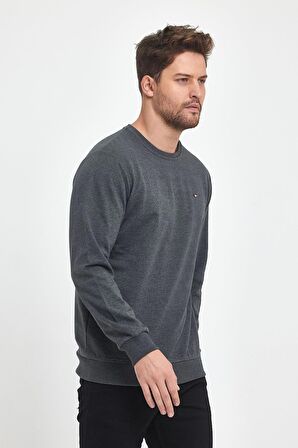 Erkek Antrasit Bisiklet Yaka Nakış Detaylı  Regular Fit Sweatshirt