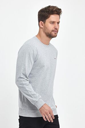 Erkek Gri Bisiklet Yaka Nakış Detaylı Regular Fit Sweatshirt