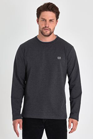 Erkek Antrasit Çift Bisiklet Yaka Baskı Detaylı Standart Rahat Kesim Sweatshirt