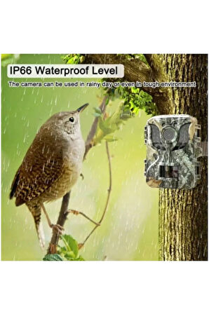 Fotokapan Kamera 16mp Full Hd 1080p Gece Görüşlü 2 Inç Lcd Ekran Su Geçirmez