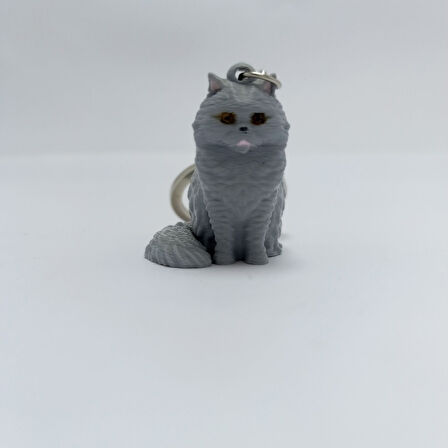 British Long Hair Kedi- Açık Gri- Anahtarlık