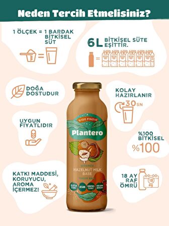 PLANTERO 6'lı Fındık Bazı Kosantre Seti 250 gr x 6