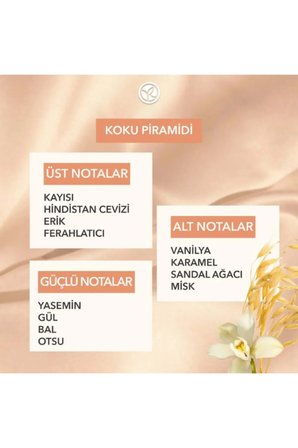 Doğaya Saygılı Katı Stick Deodorant Yulaf Özlü Shea Yağlı Alüminyum Alkolsüz 24 Saat