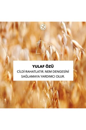 Doğaya Saygılı Katı Stick Deodorant Yulaf Özlü Shea Yağlı Alüminyum Alkolsüz 24 Saat