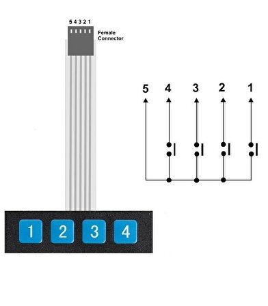 1x4 Membran Tuş Takımı