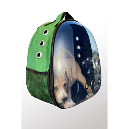 STARSTUFFS Deri Astronot Kedi Ve Köpek Taşıma Çantası Yeşil Renk 