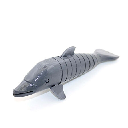 STARSTUFFS Ahşap Sallanan Balık Model 2