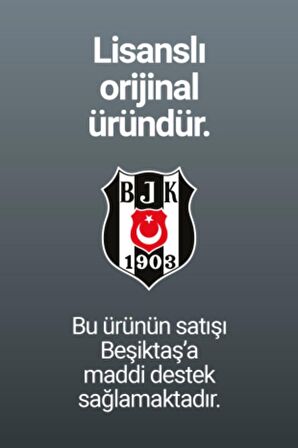 Beşiktaş Orijinal Çift Taraflı Silikon Bileklik Hediyelik Ahşap Kutulu