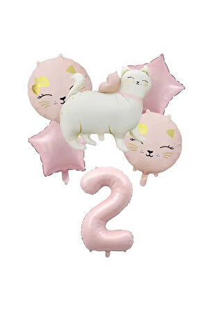 PEMBE KEDİ FOLYOLU YAŞ BALON SET