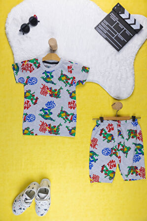 Erkek Çocuk Takım I Renkli Canlı Baskılı Pamuklu Tişört I Rahat Kısa Kollu Yazlık Tişört & Şort I