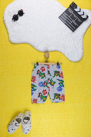 Erkek Çocuk Takım I Renkli Canlı Baskılı Pamuklu Tişört I Rahat Kısa Kollu Yazlık Tişört & Şort I