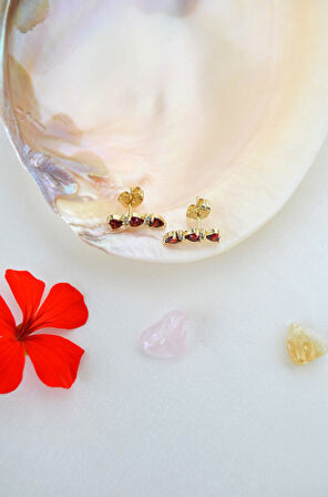 Zirkon Taşlı Sıralı Kalpli Küpe Lob Helix Kıkırdak Uyumlu