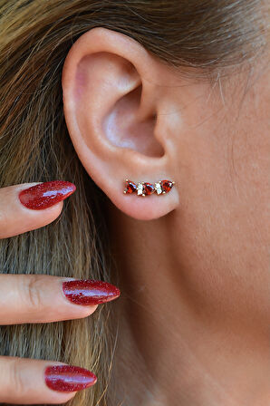 Zirkon Taşlı Sıralı Kalpli Küpe Lob Helix Kıkırdak Uyumlu