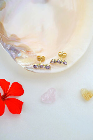 Zirkon Taşlı Sıralı Kalpli Küpe Lob Helix Kıkırdak Uyumlu