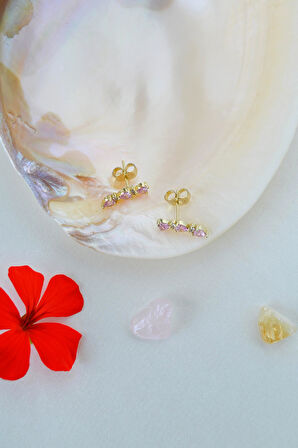 Zirkon Taşlı Sıralı Kalpli Küpe Lob Helix Kıkırdak Uyumlu