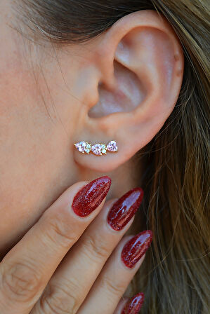 Zirkon Taşlı Sıralı Kalpli Küpe Lob Helix Kıkırdak Uyumlu