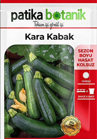 25 Adet Yerli Ata Siyah Kabak Tohumu (Kolsuz Kara Kabak)
