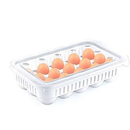 PratikAI 15'li Yumurta Saklama Kabı - Kilitli Kapak & Dayanıklı Tasarım