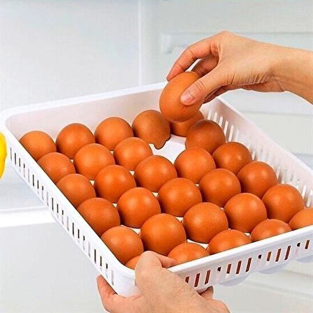 PratikAI 15'li Yumurta Saklama Kabı - Kilitli Kapak & Dayanıklı Tasarım