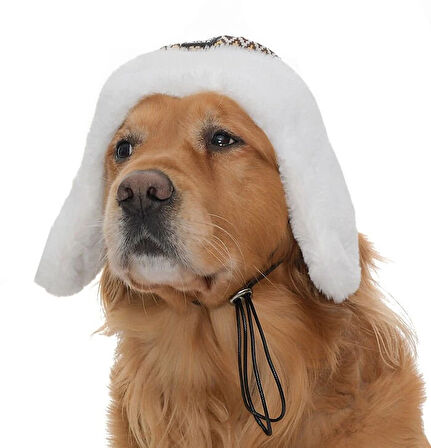 Küçük Orta ve Büyük Irk Köpek Şapka Sedna